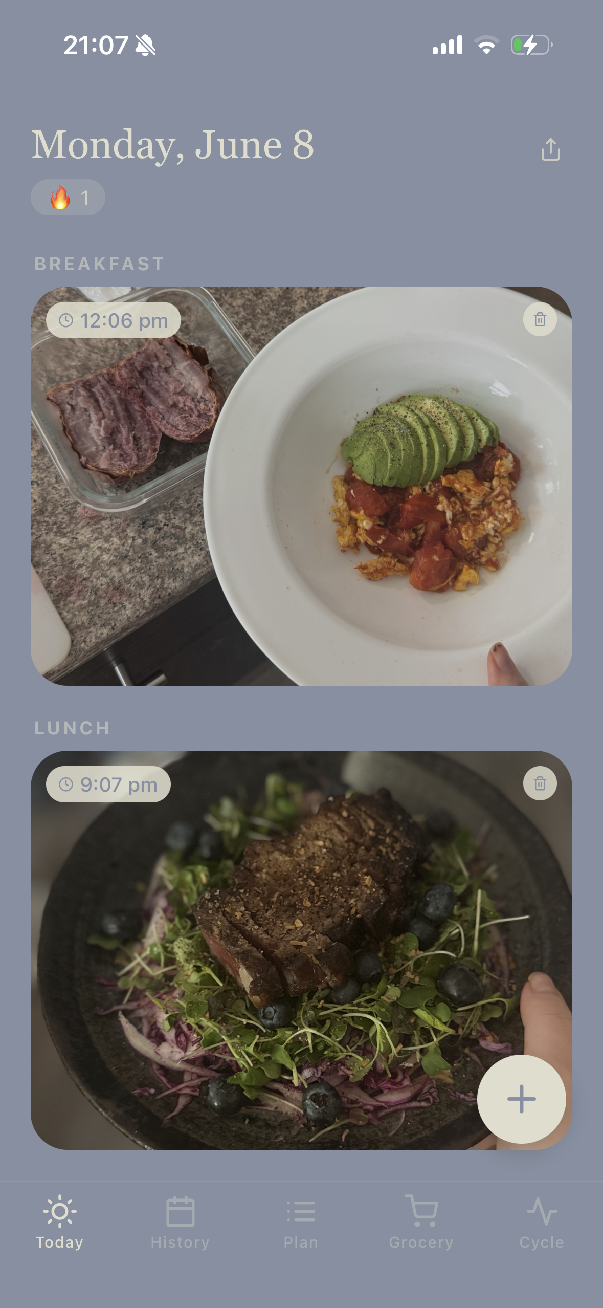 Today screen with meal photos